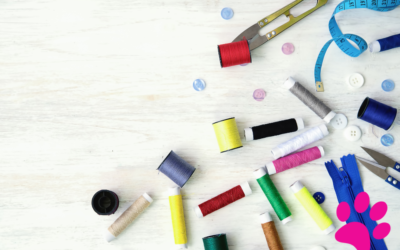 Comment créer un look unique pour votre chien grâce à une séance de couture ?