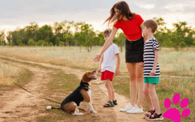Découvrez Comment Obtenir le Meilleur de Votre Chien: Les Avantages des Techniques de Renforcement Positif!