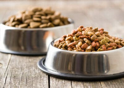 Avis sur Pro-Nutrition : des aliments sains et nutritifs pour nos animaux