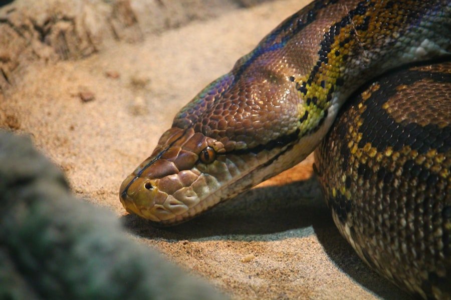 substrate serpent ingestion