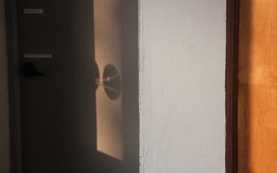 Construire un nichoir pour mésange : trou de diamètre optimal