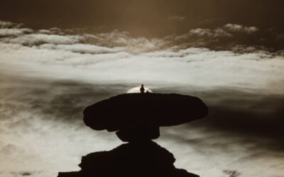 Comment apprendre le rappel à son chien: astuces et conseils