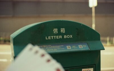 Problème de comportement : chat fait ses besoins à côté de la litière