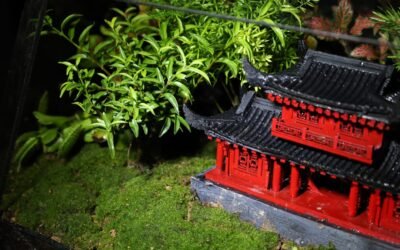 Terrarium : Plante naturelle ou artificielle ?