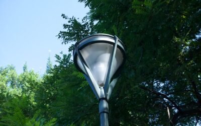 Lampe UVB : Indispensable pour les Tortues