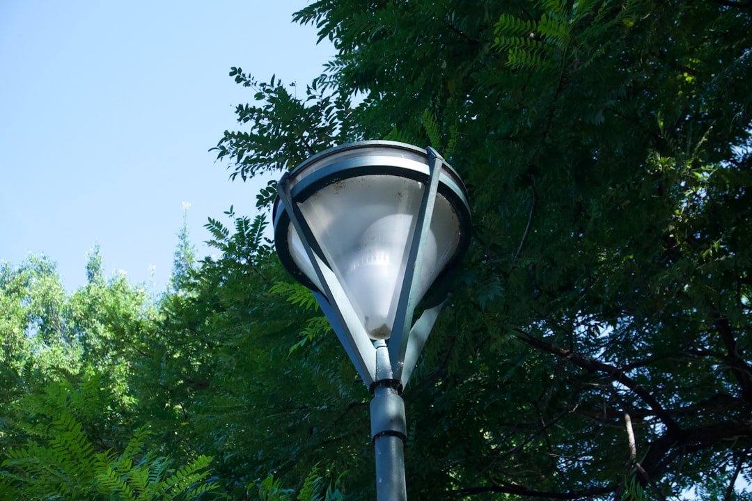 lampe uvb tortue indispensable