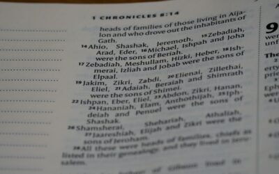 Conjonctivite chien : dosage camomille