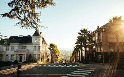 Les dangers des boules de graisse pour les oiseaux: un filet mortel