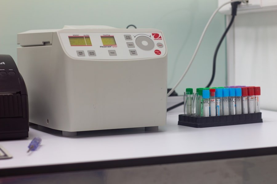 Photo terrarium bioactif tutorial