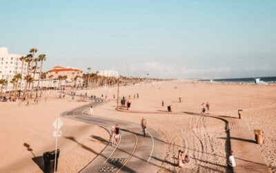 Symptômes épillet chien : attention à la patte !