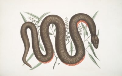 Le serpent qui souffle : signification et symbolisme