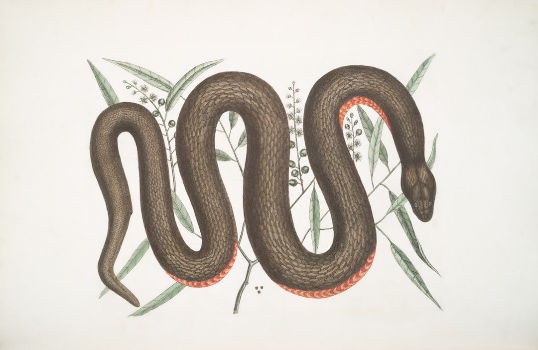 serpent qui souffle signification