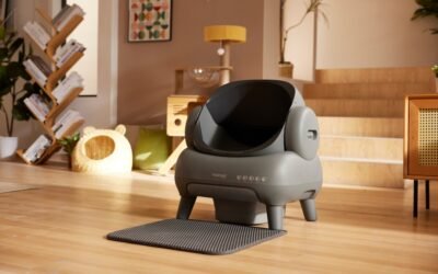 Le comportement étrange du chat qui joue avec sa litière