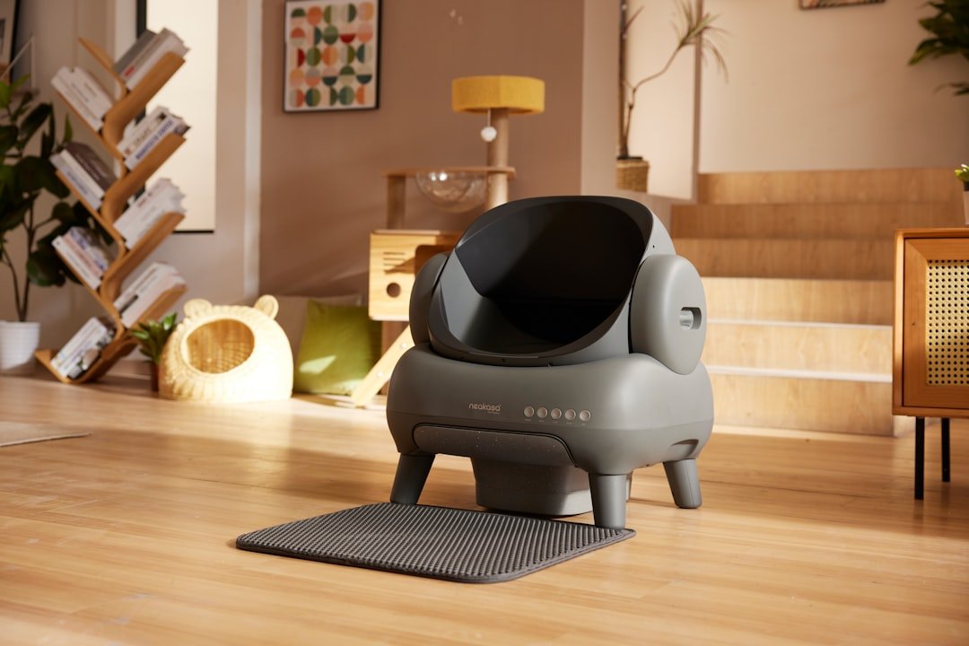 chat qui joue avec sa litière