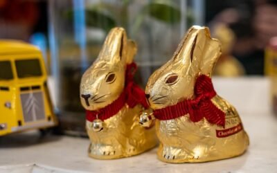 Accueil 7 Mon lapin ne mange plus : urgence !