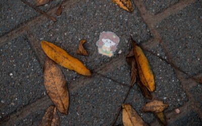 La meilleure litière agglomérante sans odeur