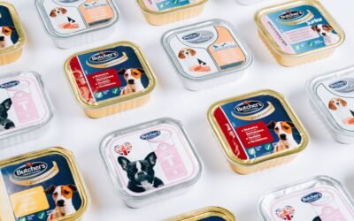 Chien refuse de manger ses croquettes