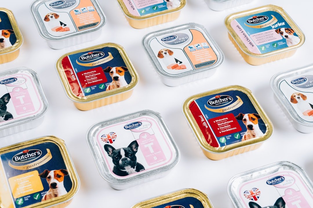 chien qui ne veut plus manger ses croquettes