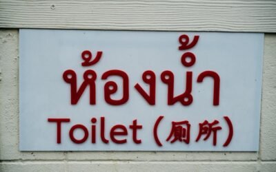 Croquette chat: Efficacité soins urinaires