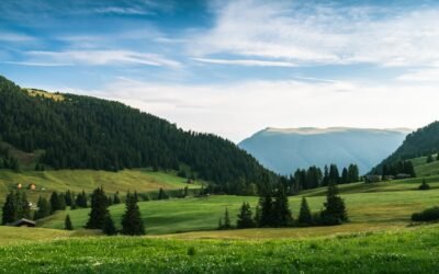 Accueil 9 Pourquoi mon chat me fixe