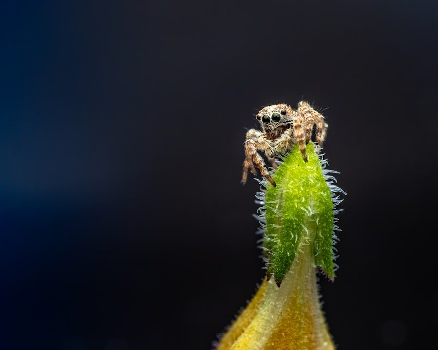 Croquette insecte chien avis: une alternative nutritive et durable 2 Photo croquette insecte chien avis