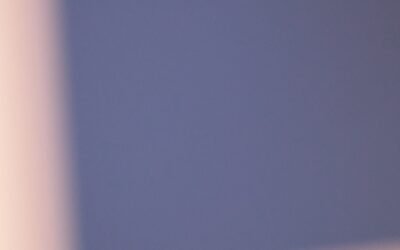 Accueil 7 Gamelle anti glouton chat : avis et conseils