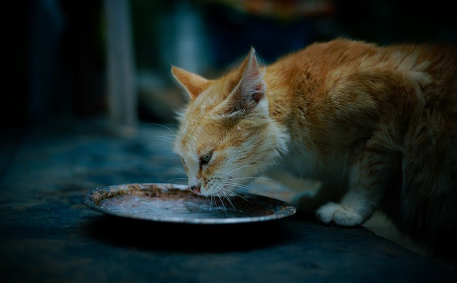 Photo toxic foods for cats